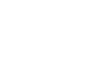 project apoyo logo